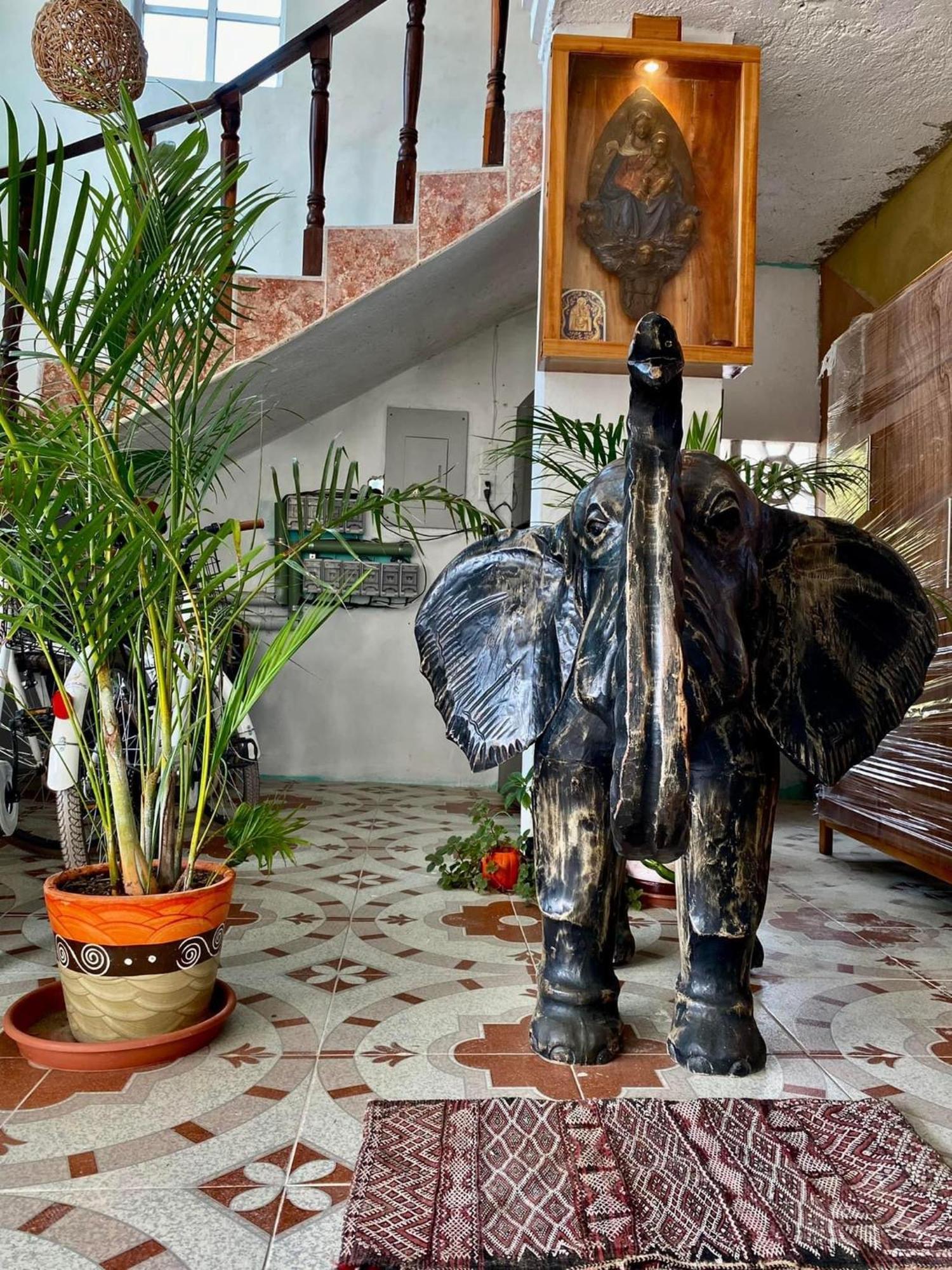 Casa Gajah HotЕл Куйо Екстериор снимка